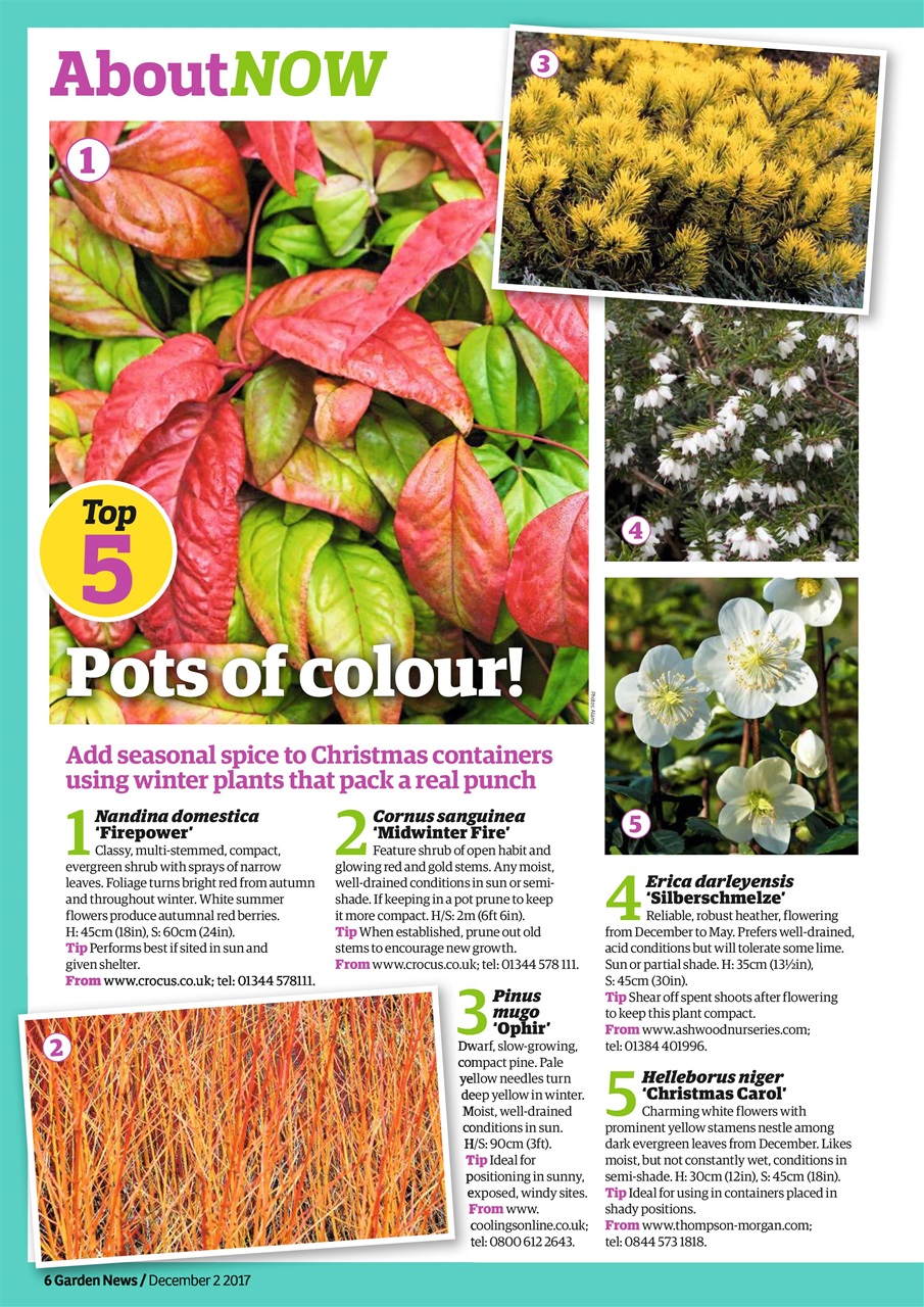 Garden News Preview Pages
