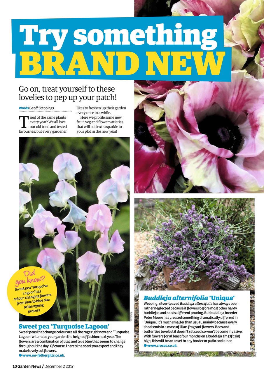 Garden News Preview Pages