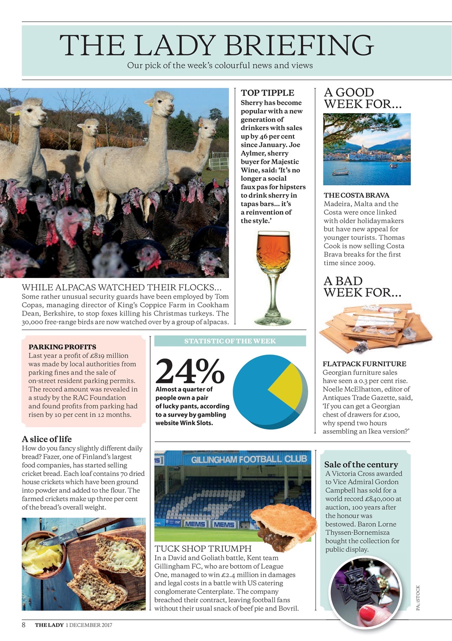 The Lady Preview Pages