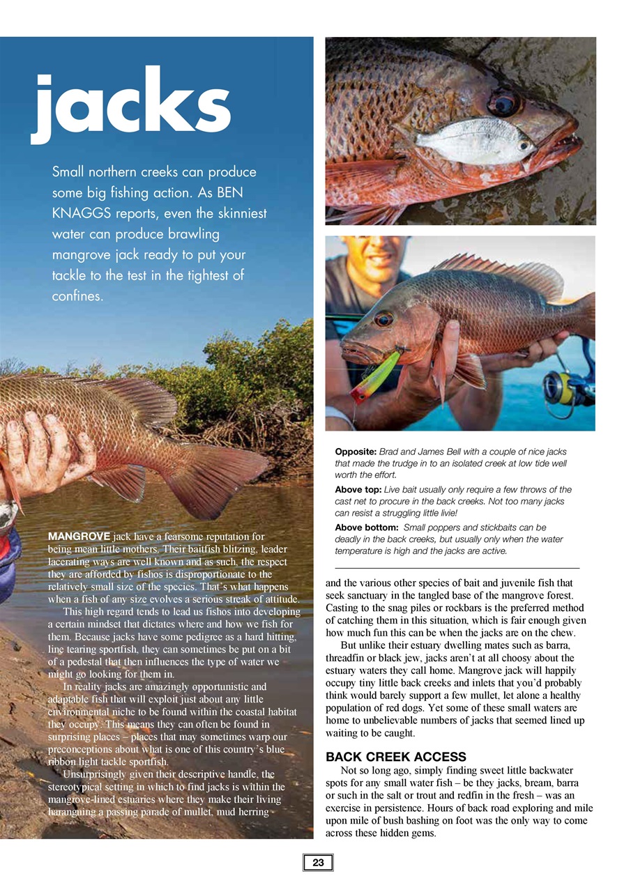 Western Angler Preview Pages