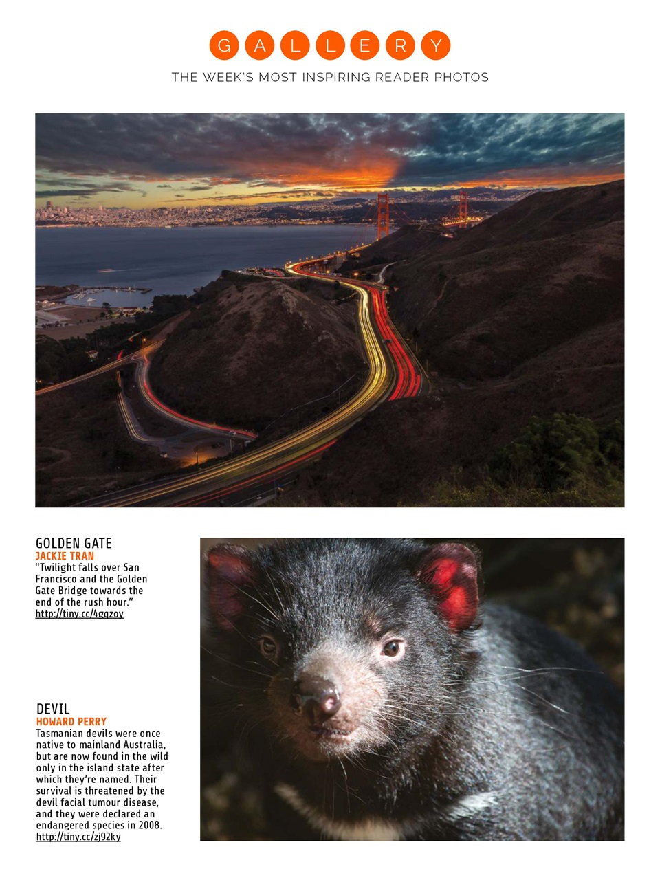 Photography Week Preview Pages