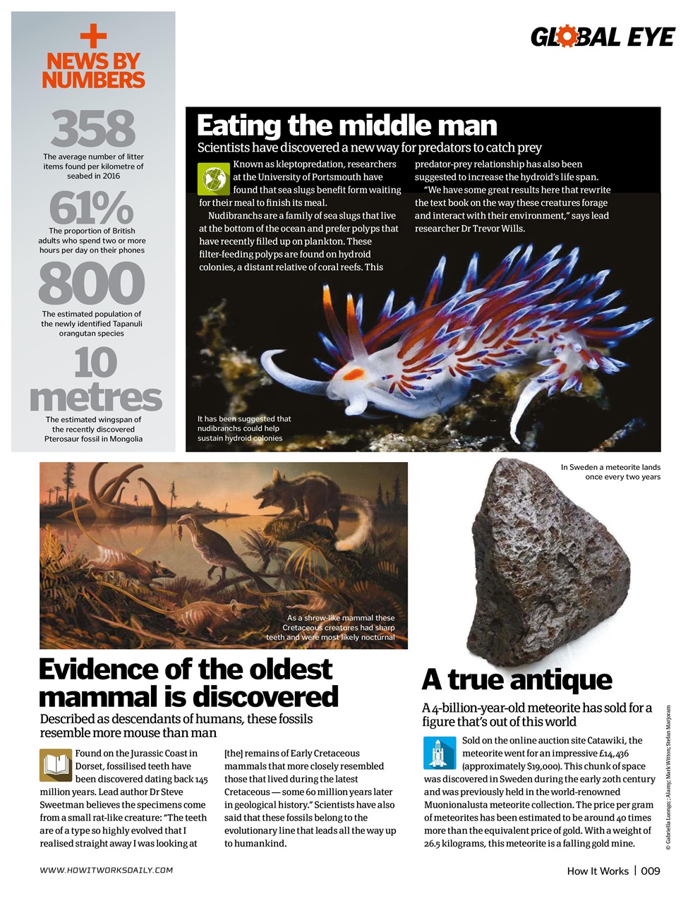 How It Works Preview Pages