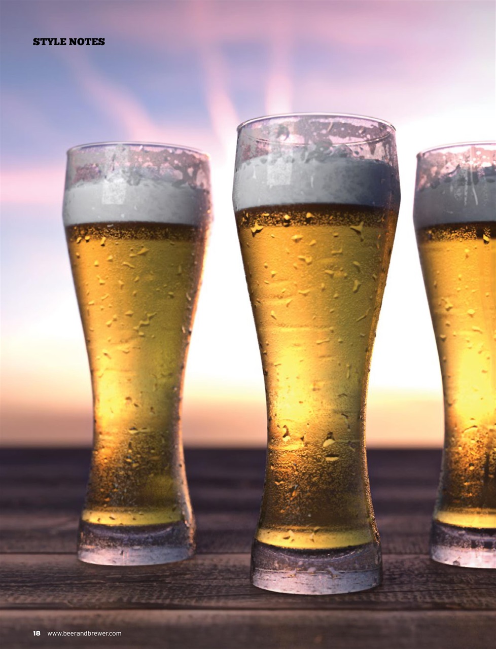Beer and Brewer Preview Pages