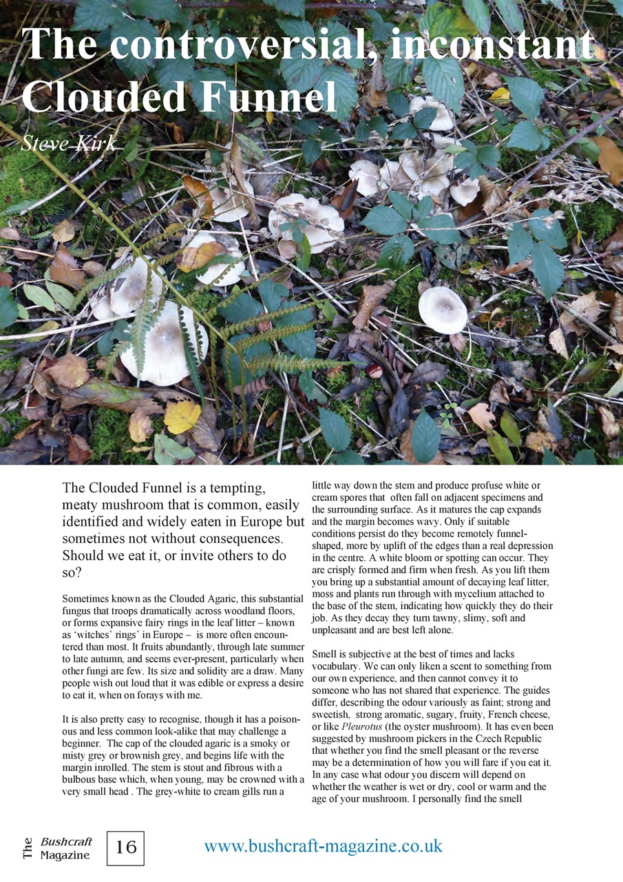 Bushcraft Magazine Preview Pages