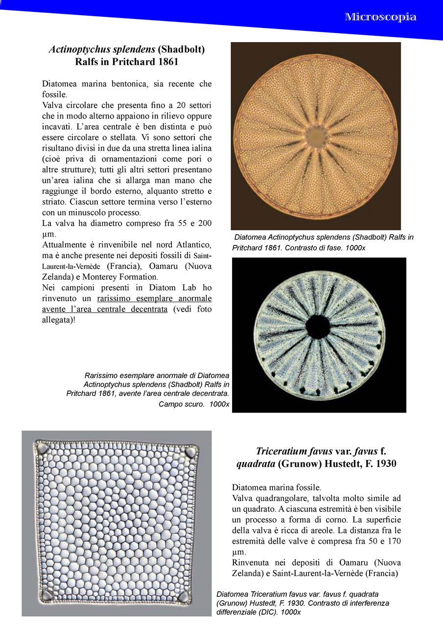 L'HOBBY DELLA SCIENZA E DELLA TECNICA Preview Pages