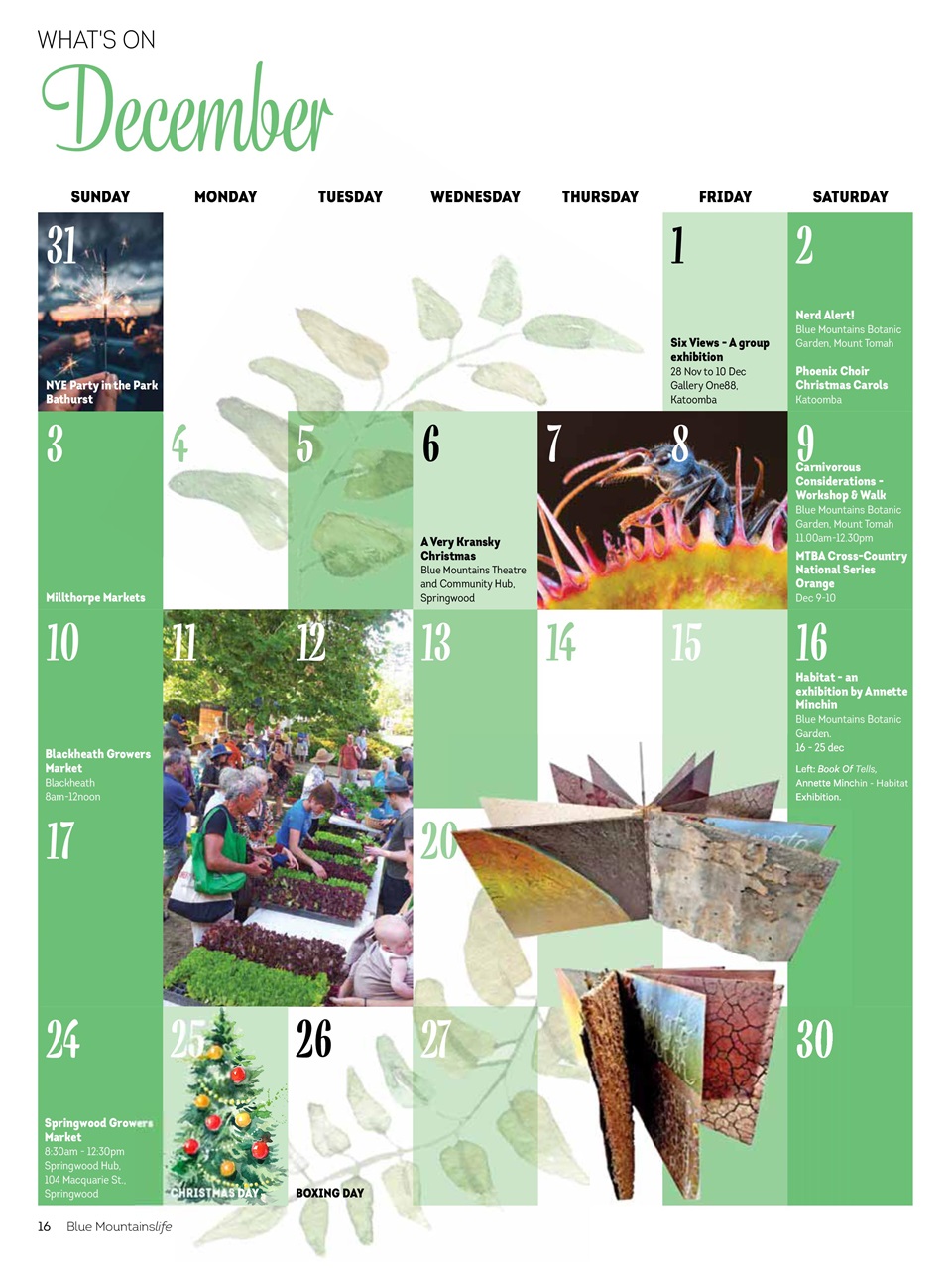 Blue Mountains Life Preview Pages