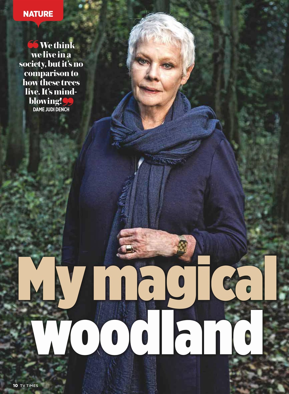 TV Times Preview Pages