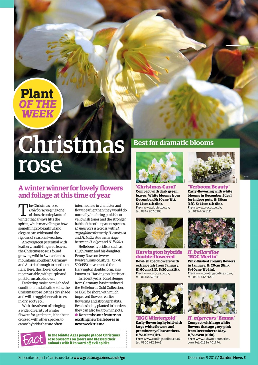 Garden News Preview Pages