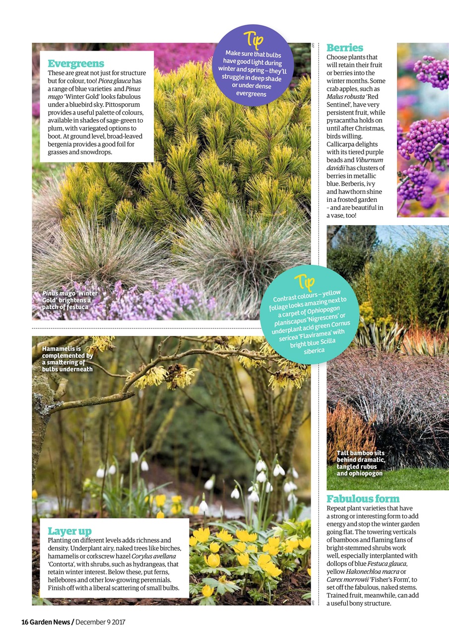 Garden News Preview Pages