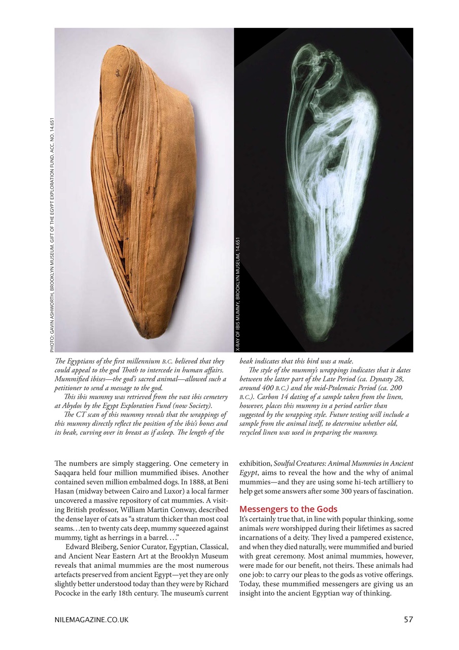 Nile Magazine Preview Pages