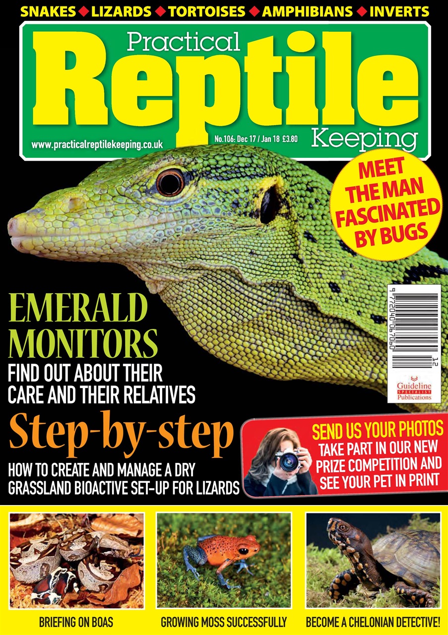 Practical Reptile Keeping Preview Pages