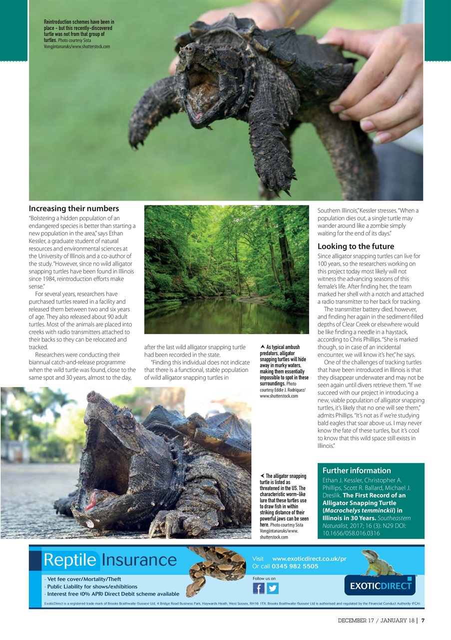 Practical Reptile Keeping Preview Pages
