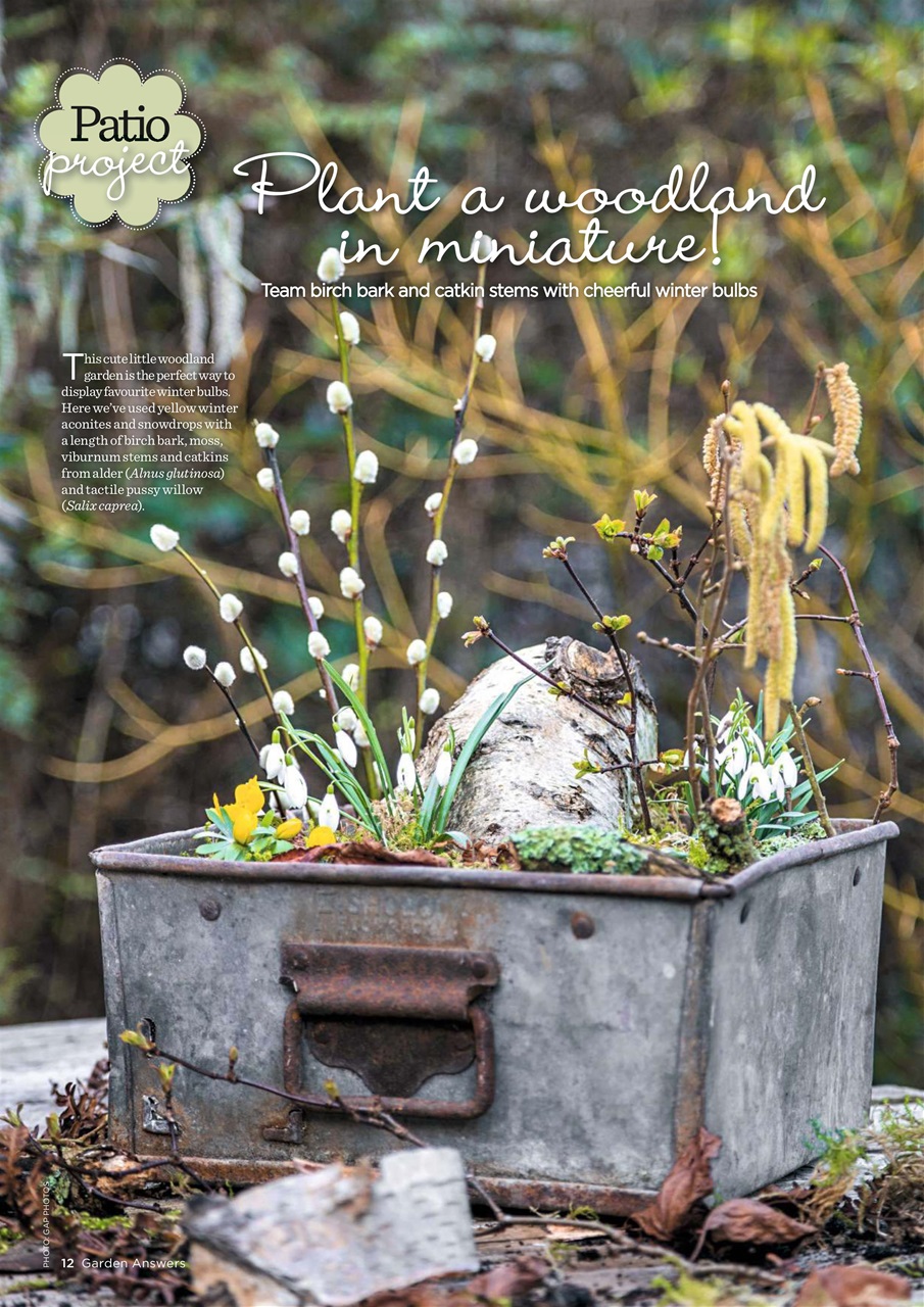 Garden Answers Preview Pages