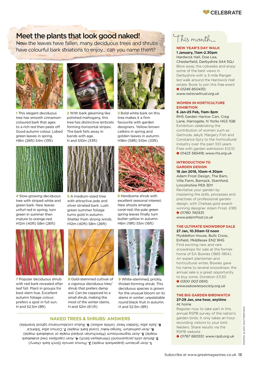 Garden Answers Preview Pages