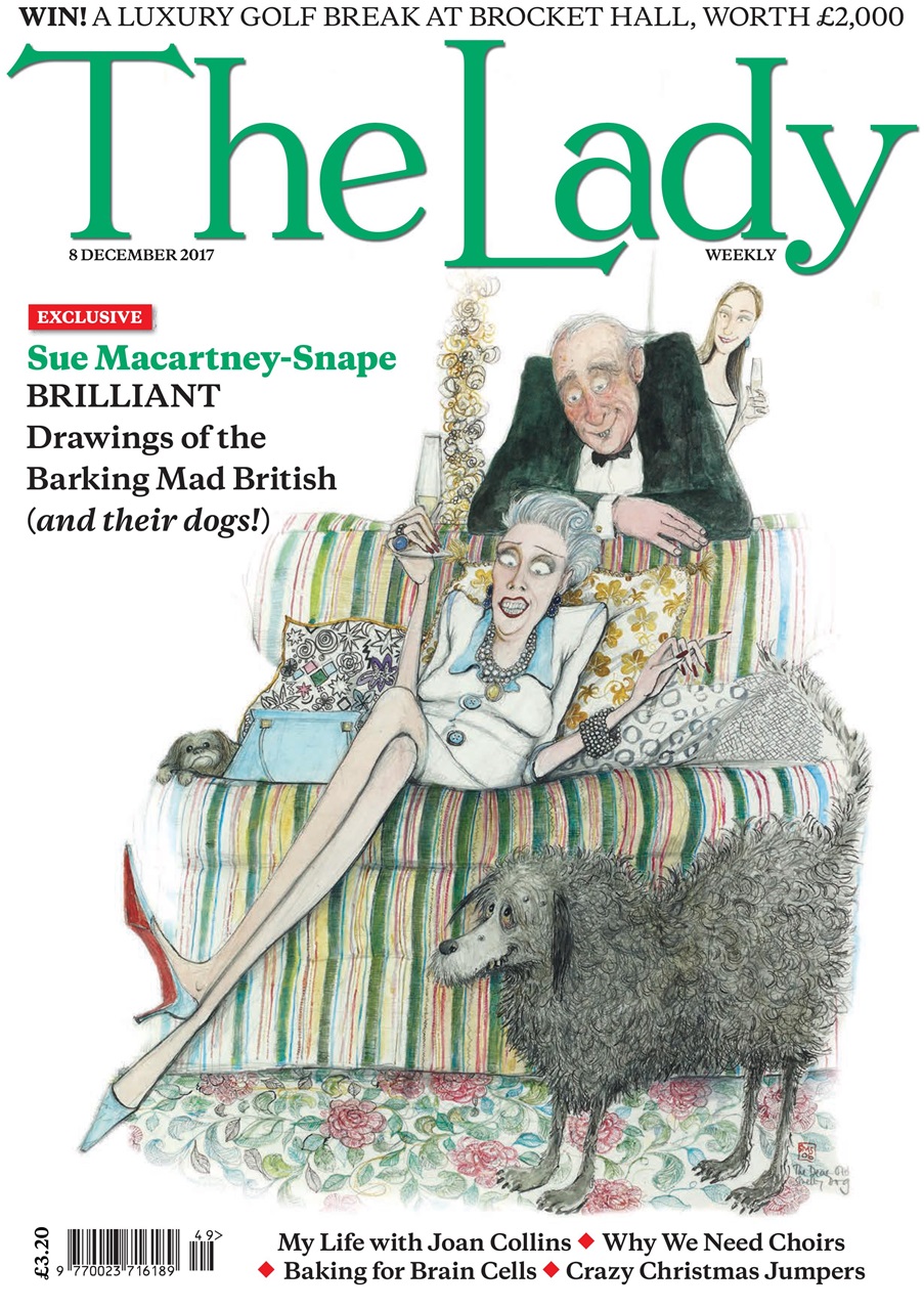 The Lady Preview Pages