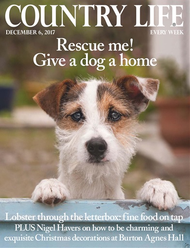 Country Life issue 