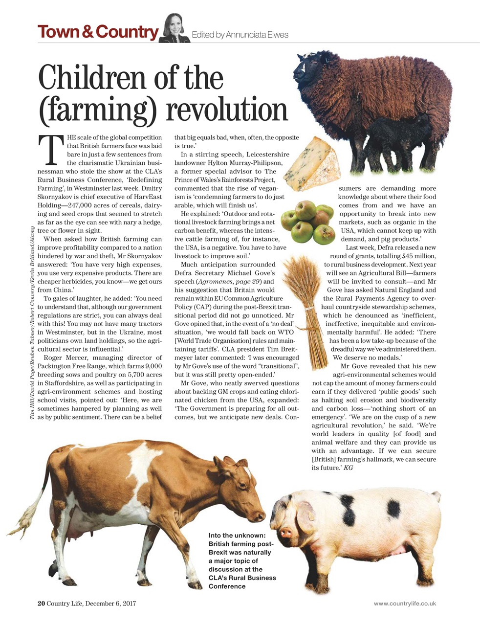 Country Life Preview Pages