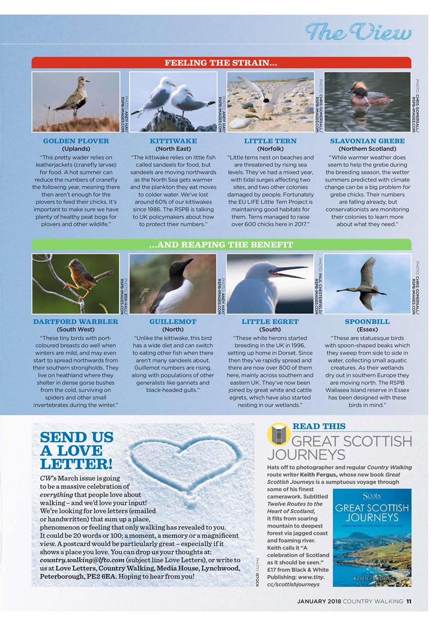 Country Walking Preview Pages