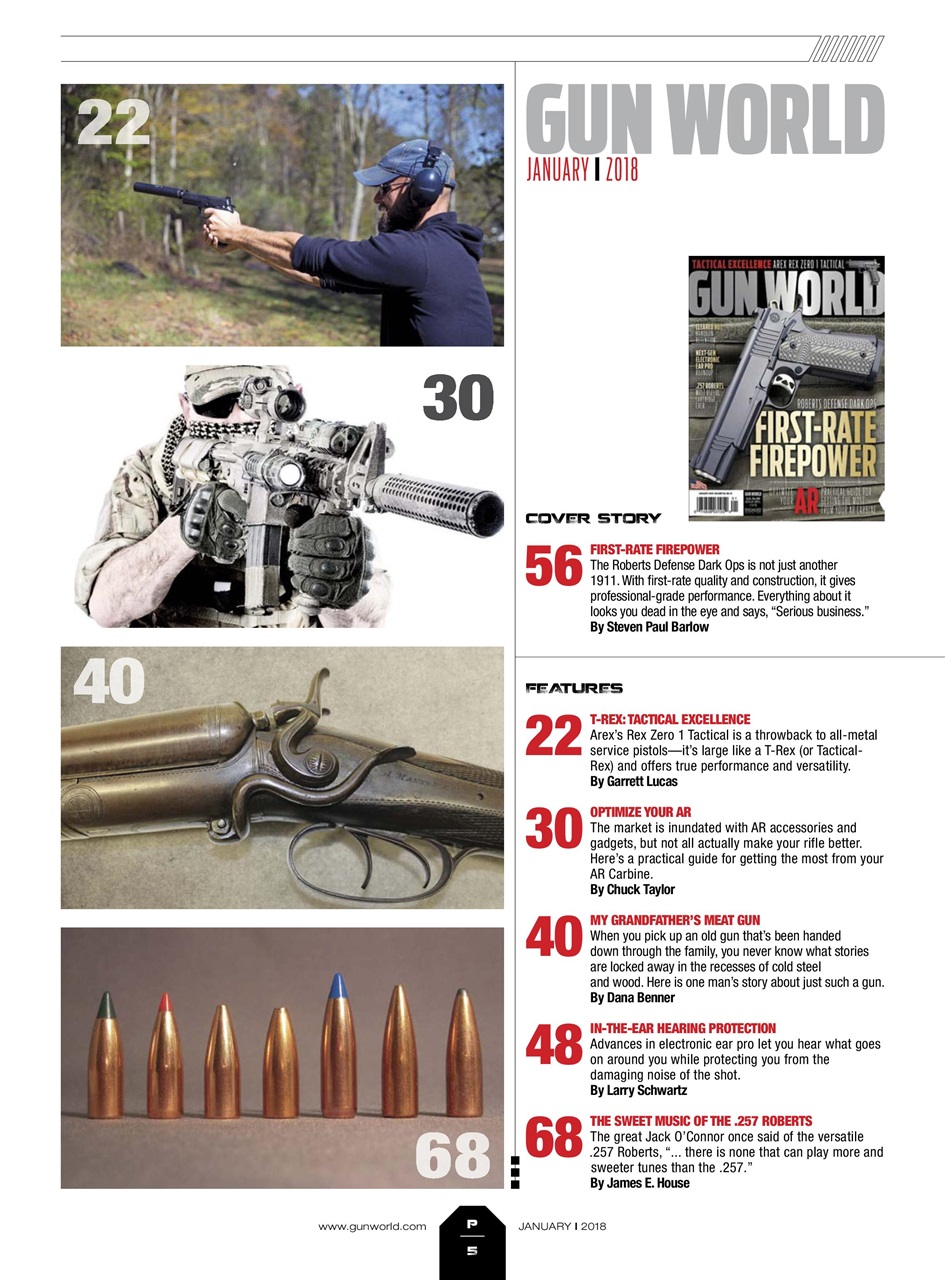 Gun World Preview Pages