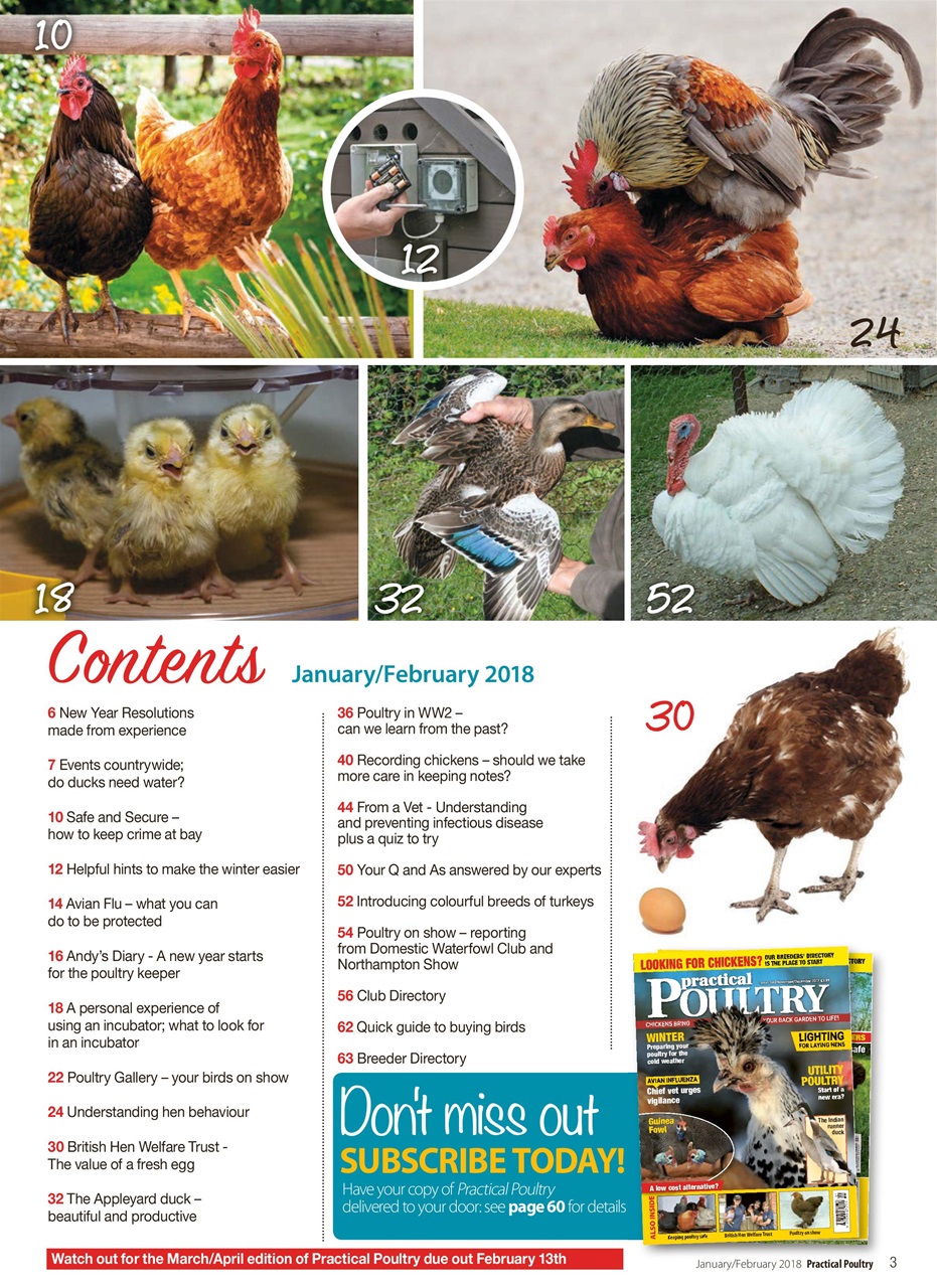 Practical Poultry Preview Pages