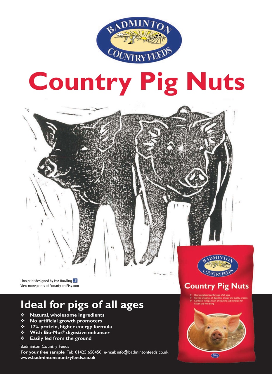 Practical Pigs Preview Pages