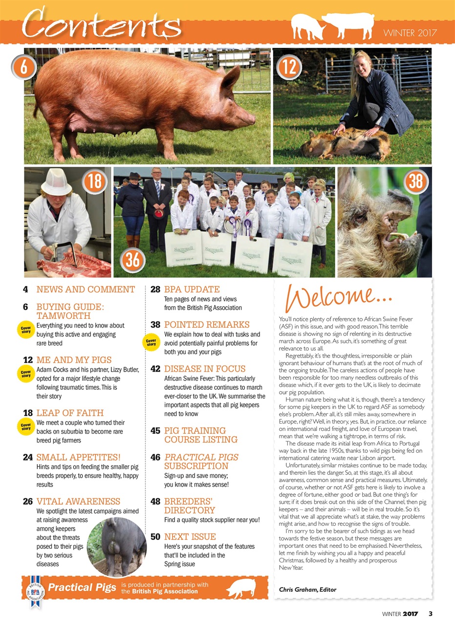 Practical Pigs Preview Pages