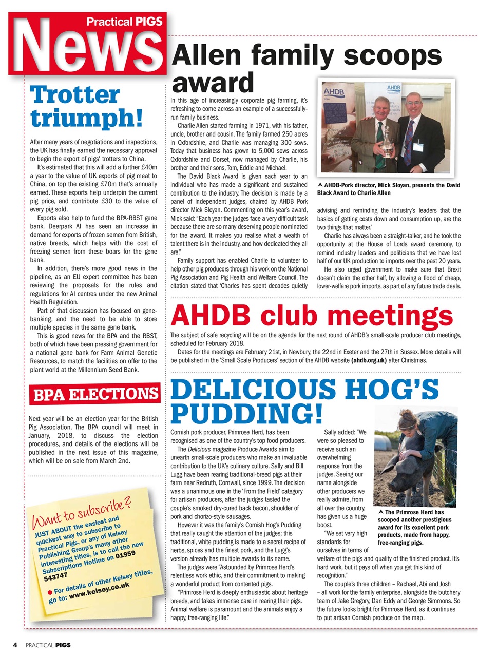 Practical Pigs Preview Pages