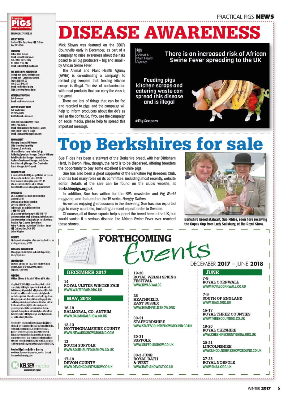 Practical Pigs Preview Pages