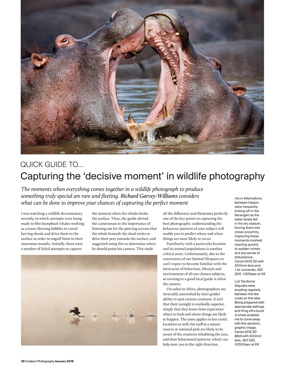 Outdoor Photography Preview Pages