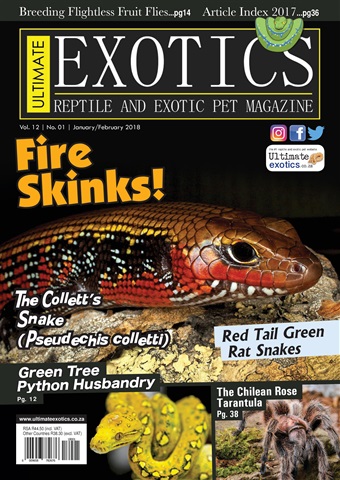 Ultimate Exotics issue Jan/feb 18