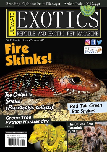 Ultimate Exotics issue 