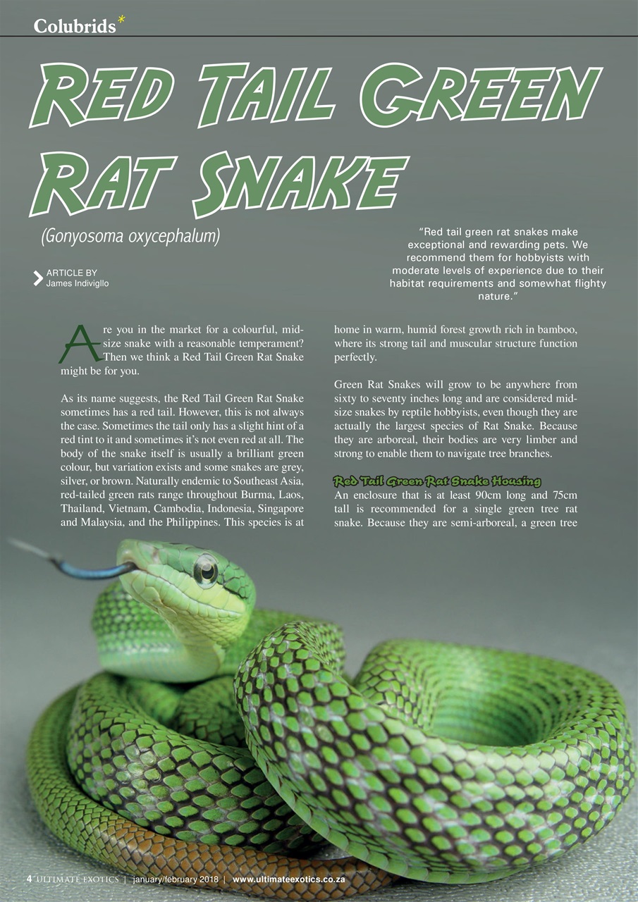 Ultimate Exotics Preview Pages