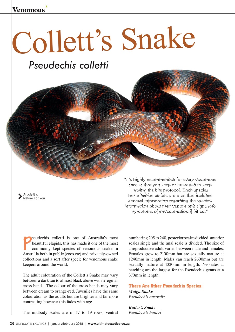 Ultimate Exotics Preview Pages