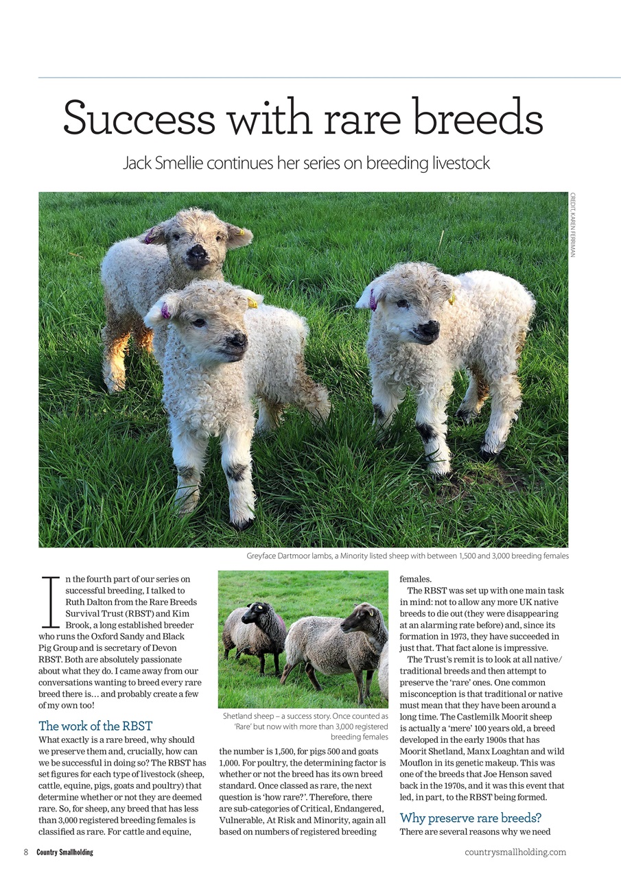 The Country Smallholder Preview Pages