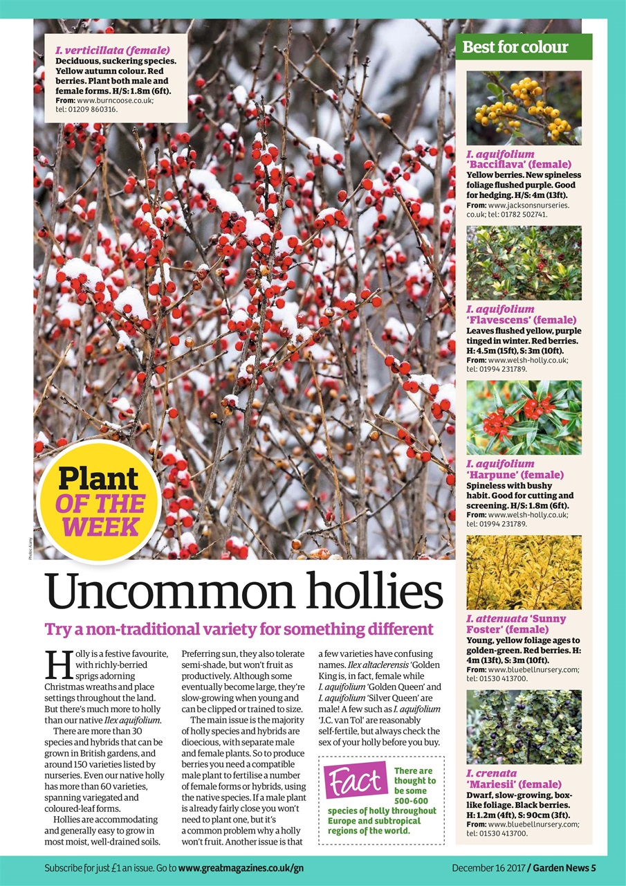 Garden News Preview Pages