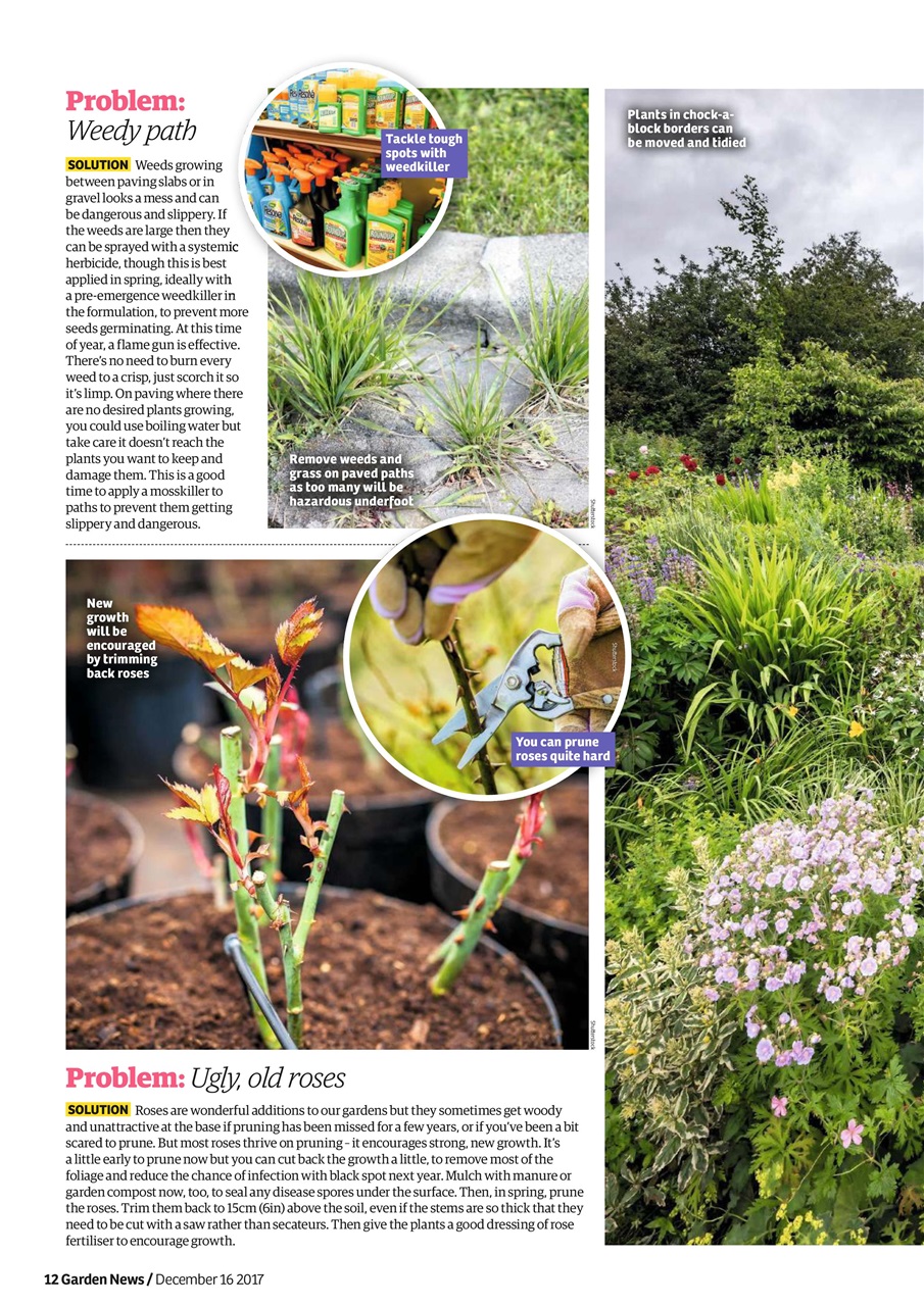 Garden News Preview Pages