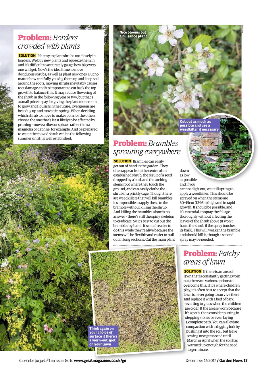 Garden News Preview Pages