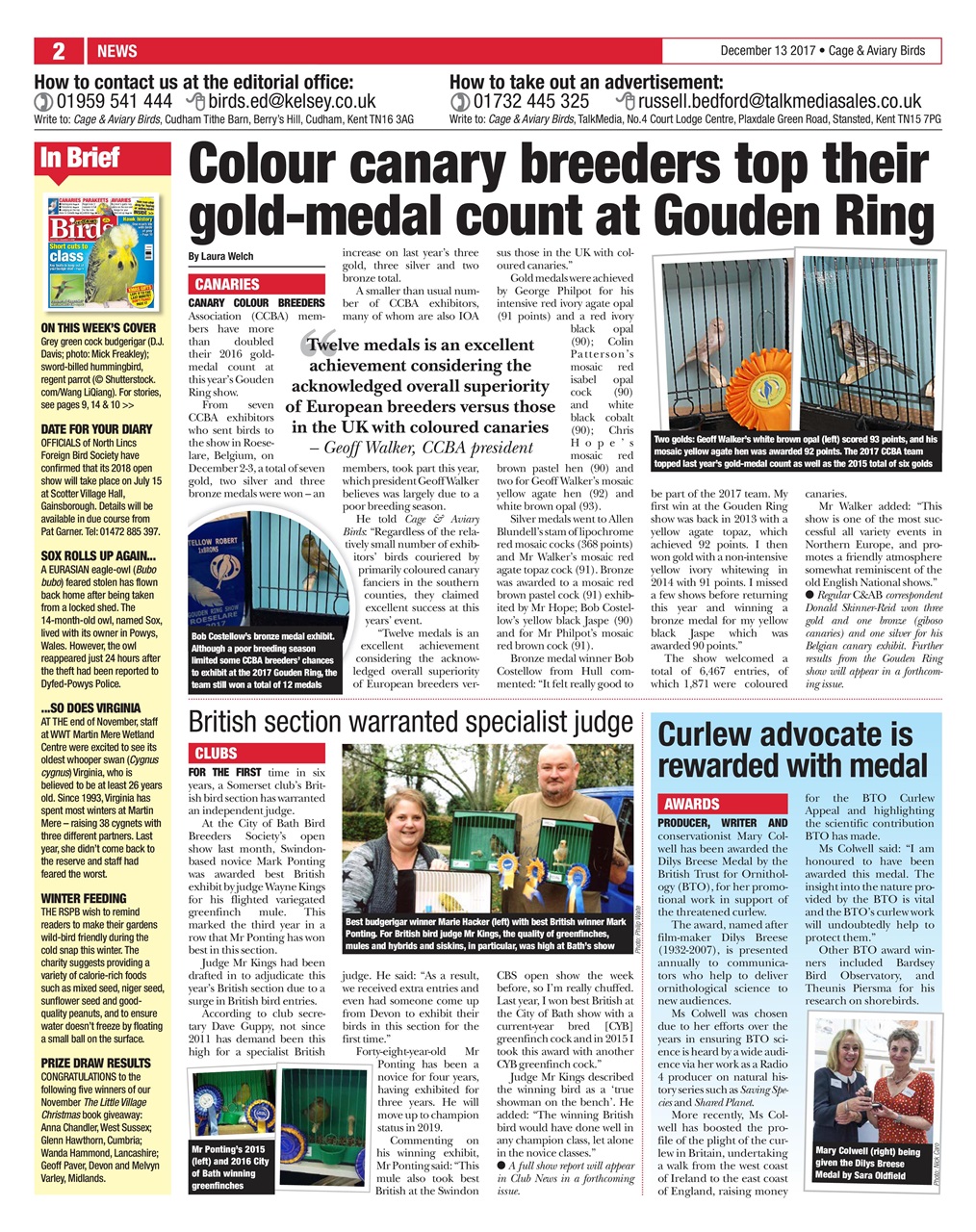 Cage & Aviary Birds Preview Pages