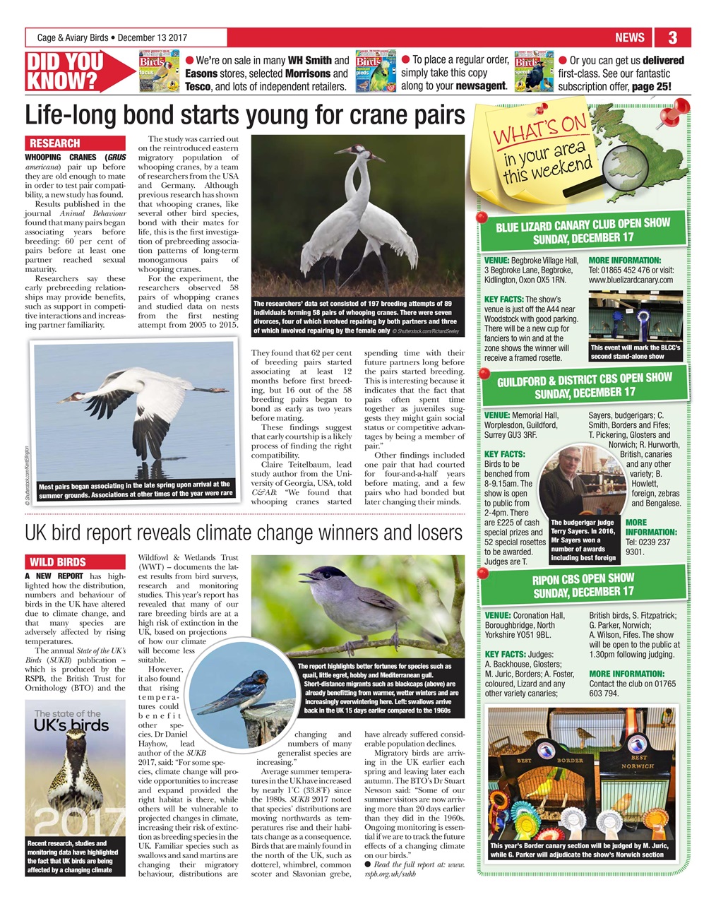 Cage & Aviary Birds Preview Pages