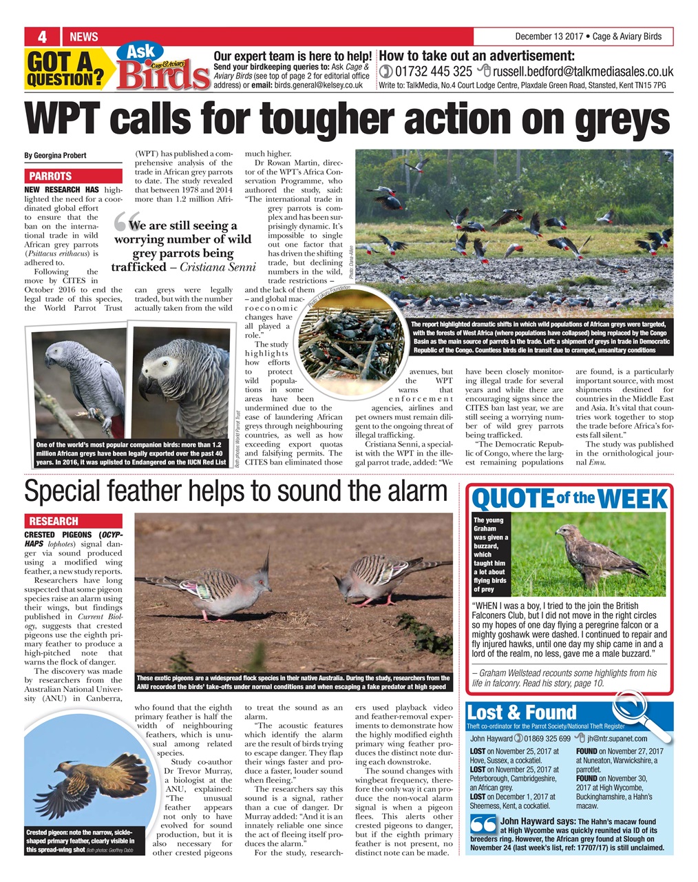 Cage & Aviary Birds Preview Pages