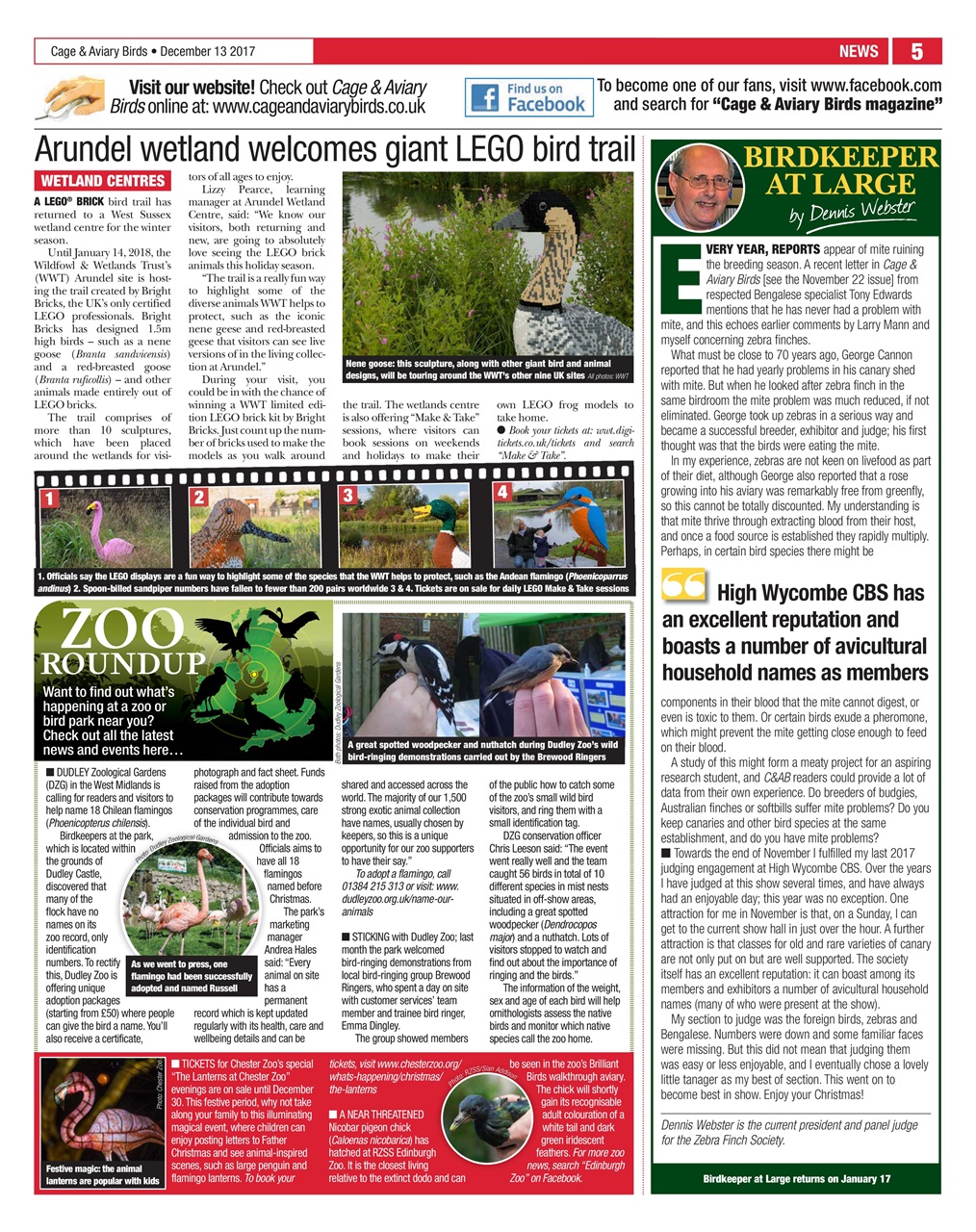 Cage & Aviary Birds Preview Pages