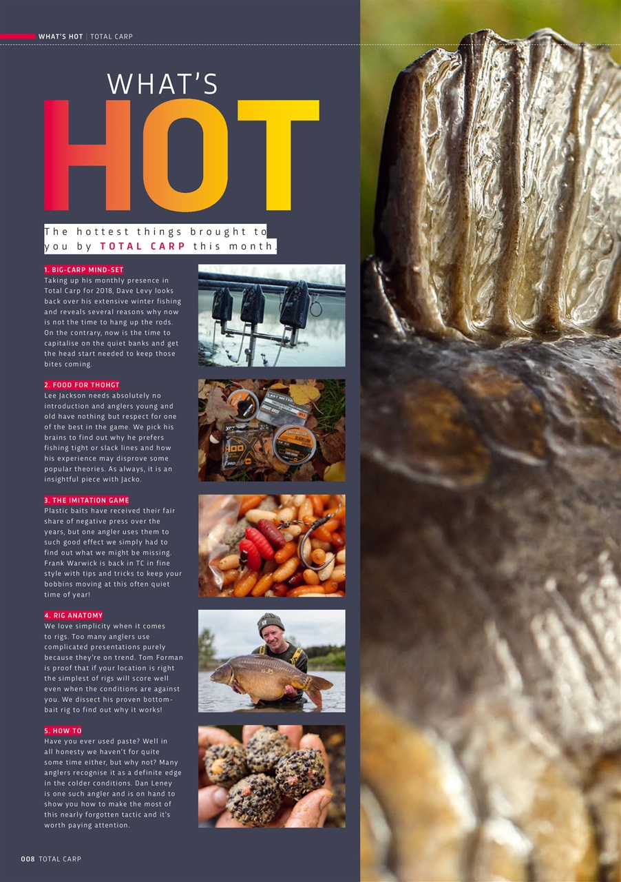 Total Carp Preview Pages