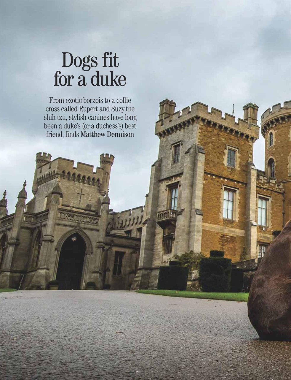 Country Life Preview Pages