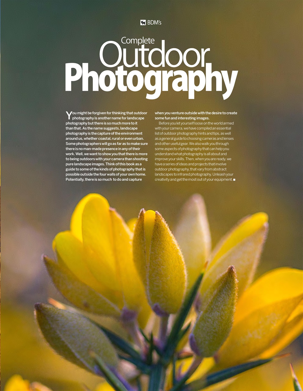 Digital Camera User Preview Pages