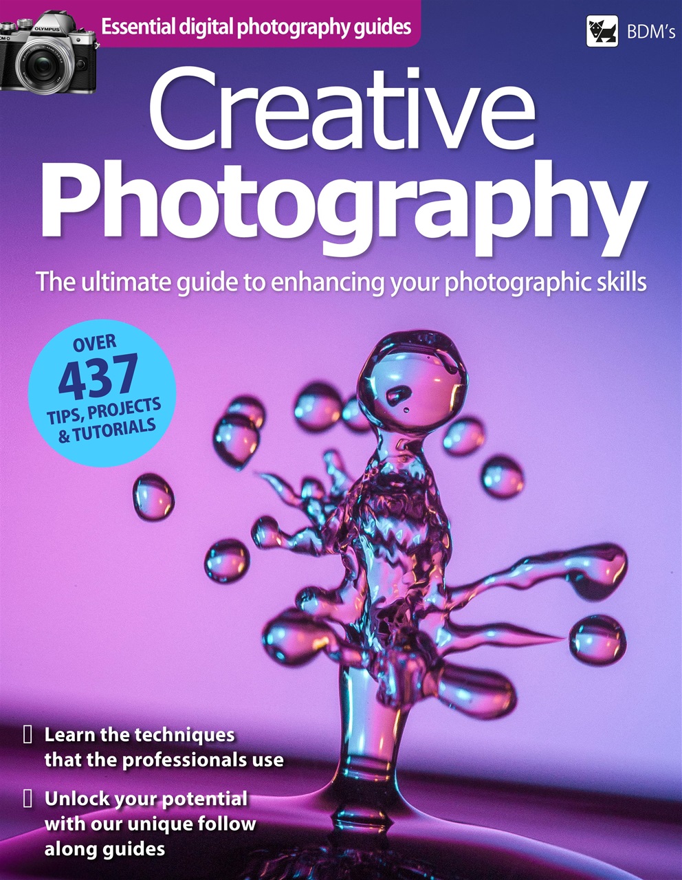 Digital Camera User Preview Pages