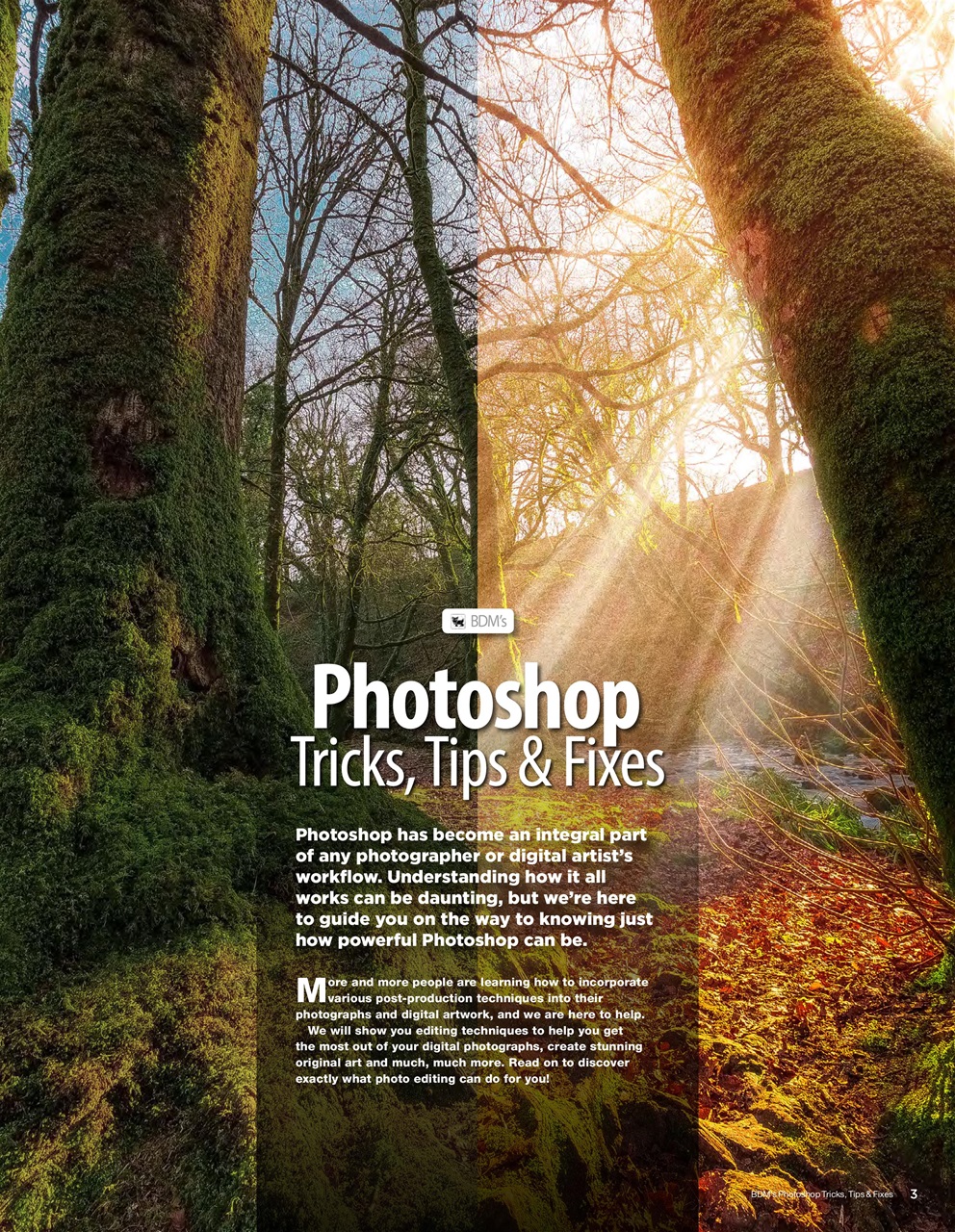 Photoshop User Preview Pages