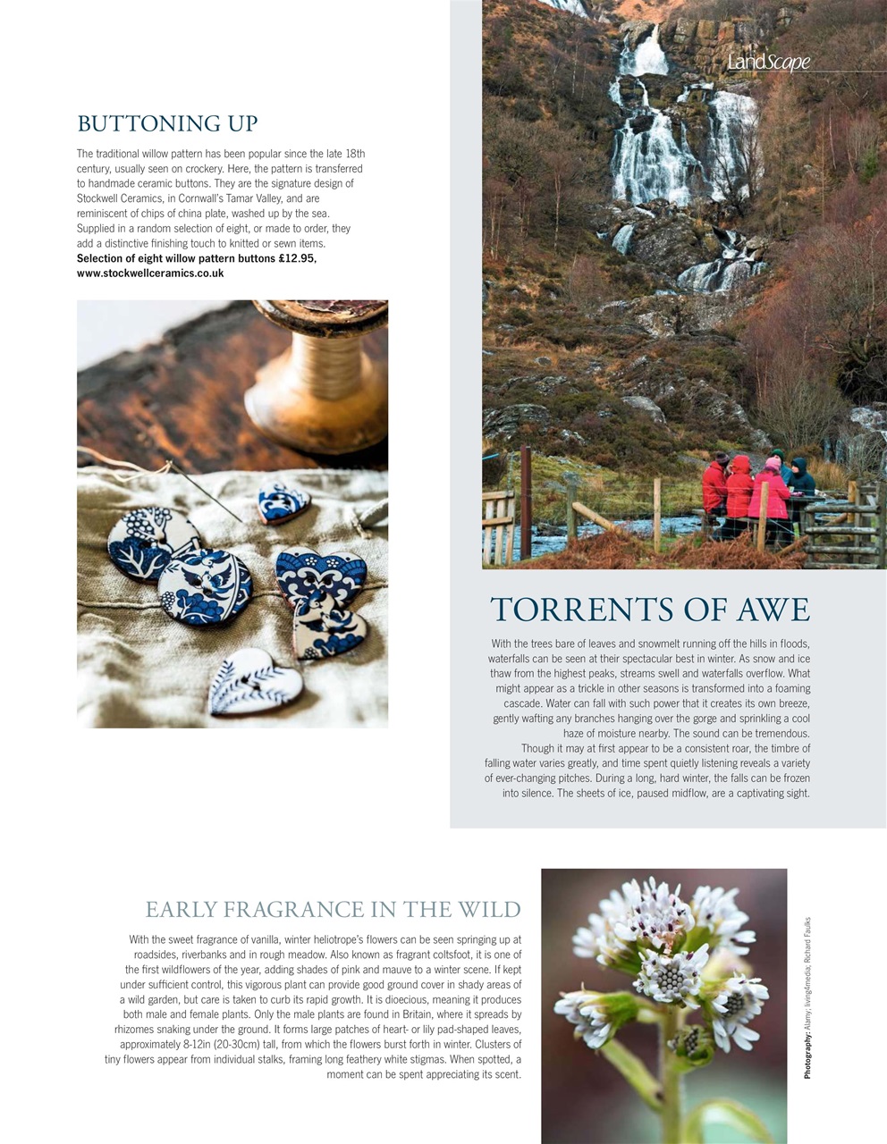 LandScape Preview Pages