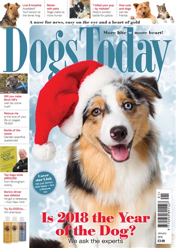 Dogs Today Magazine issue 