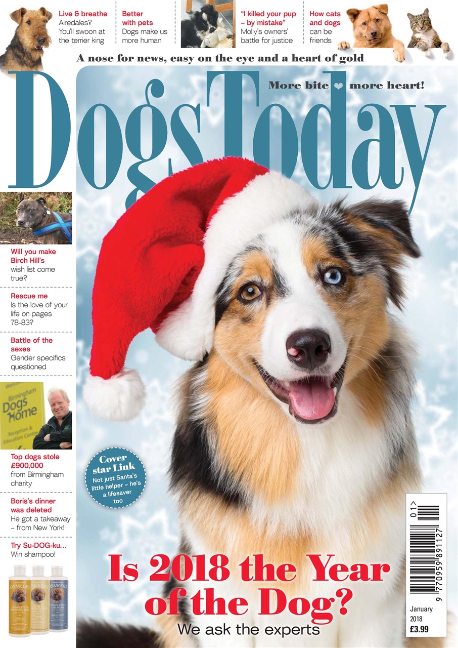 Dogs Today Magazine Preview Pages