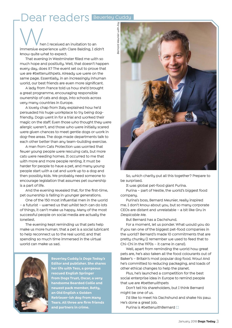 Dogs Today Magazine Preview Pages